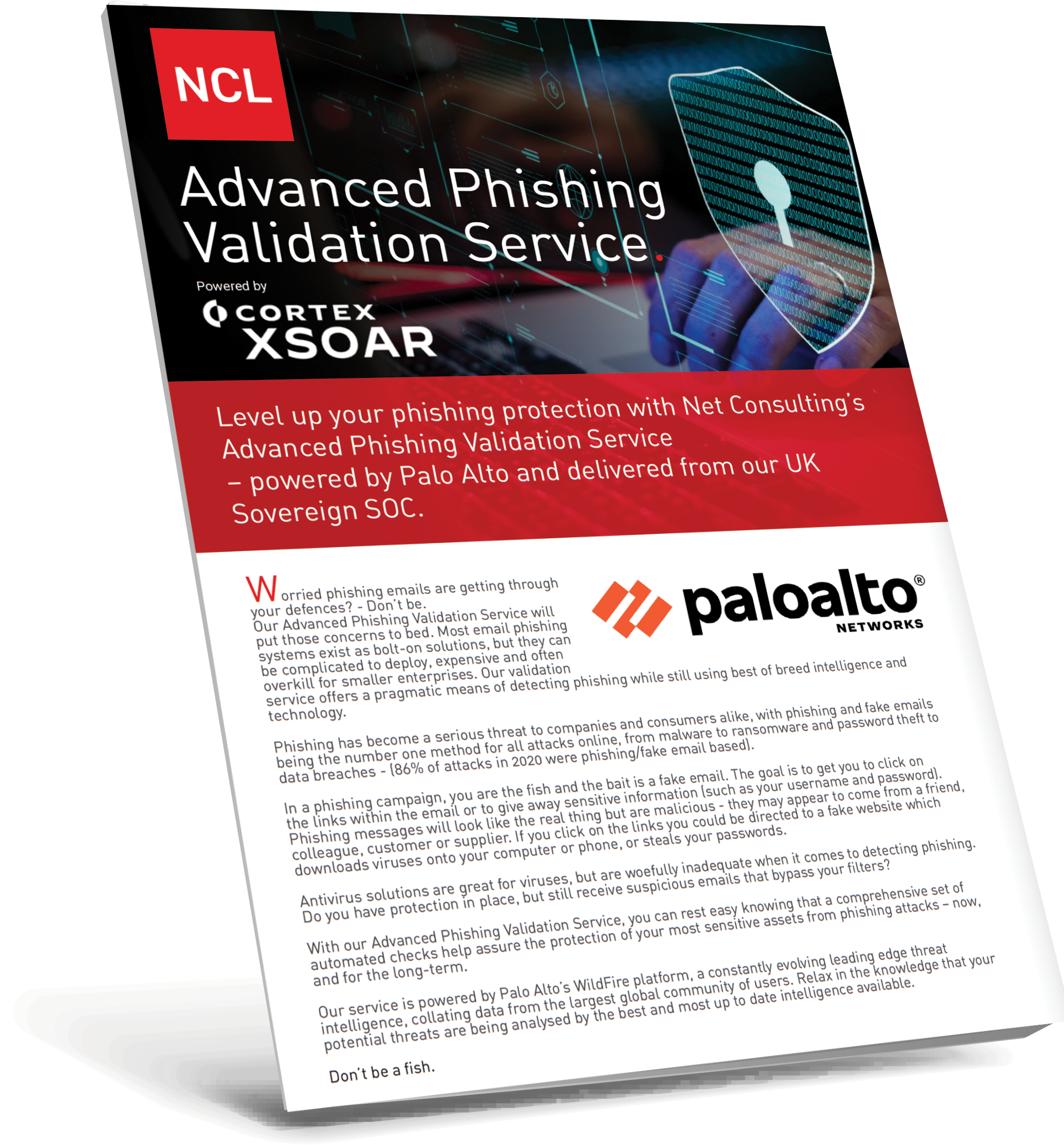 phishing brochure